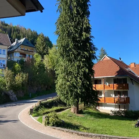 Haus Sonne Apartment Todtmoos Exterior photo
