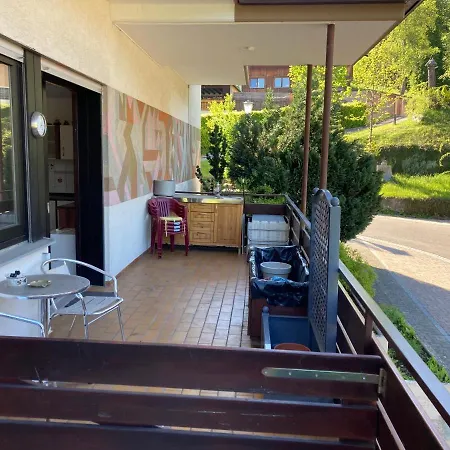 Haus Sonne Apartment Todtmoos Exterior photo