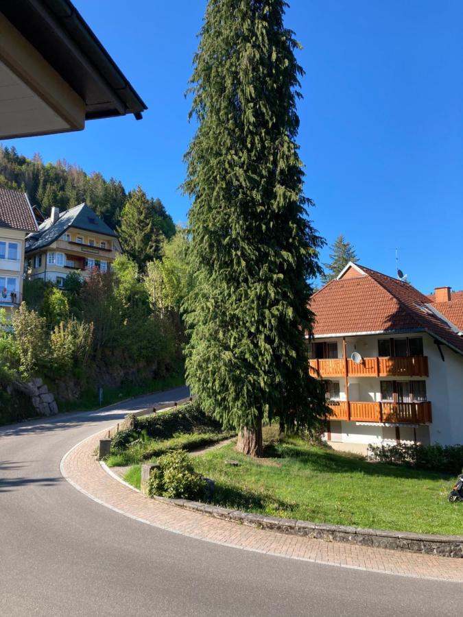 Apartment Haus Sonne