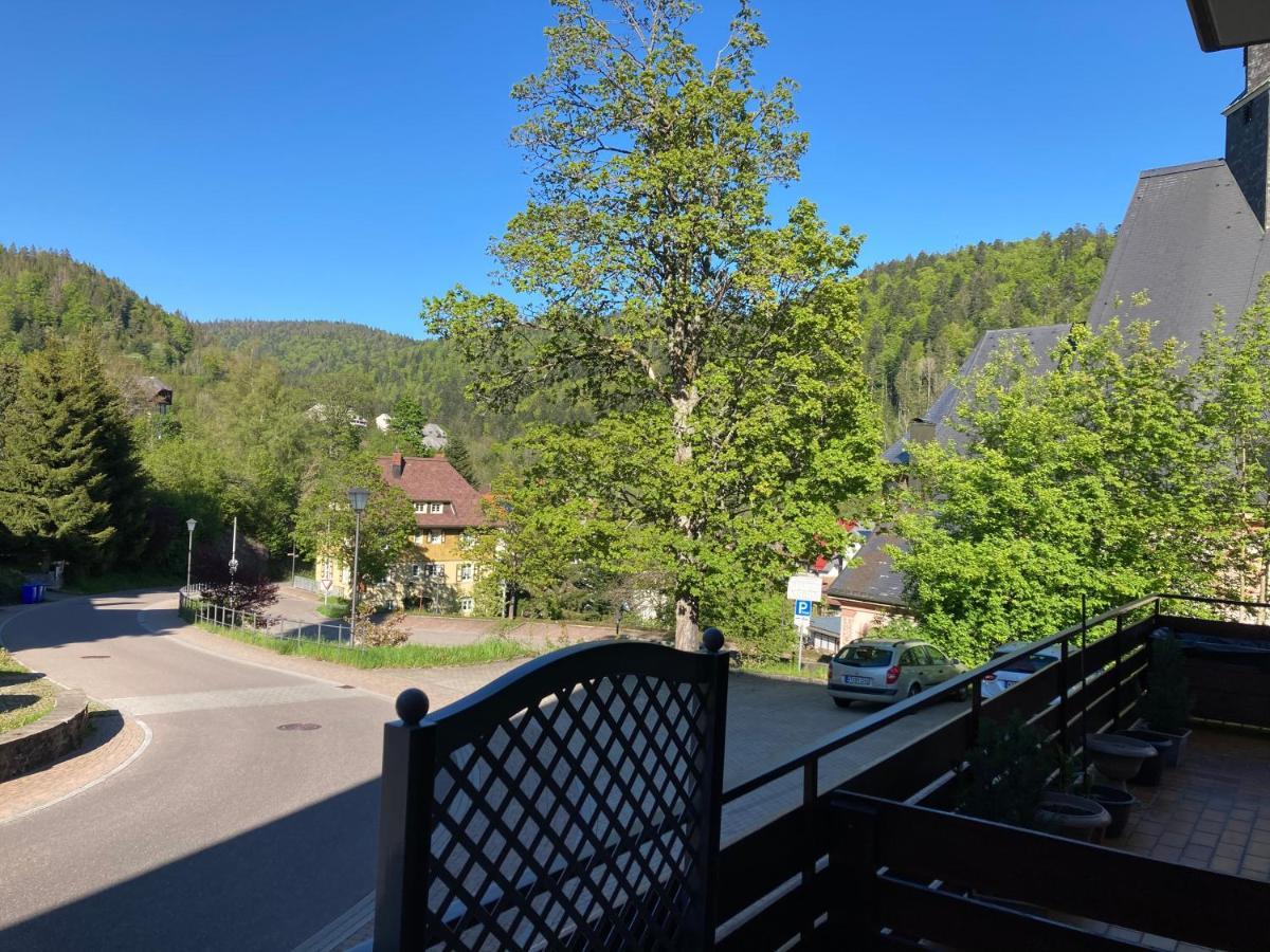 Haus Sonne Apartment Todtmoos